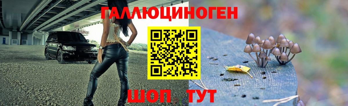 Галлюциногенные грибы мухоморы Губкин